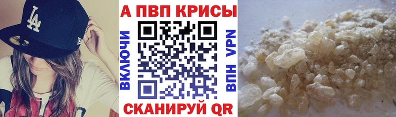 Альфа ПВП СК  Кириши 