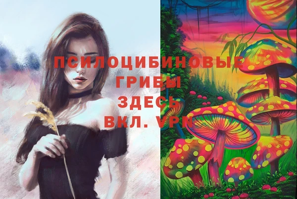тгк Карталы