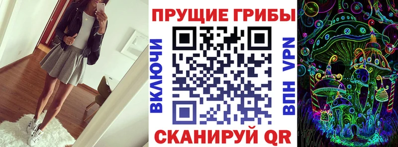 Псилоцибиновые грибы Cubensis  Кириши 